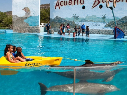 show at Baconao dolphinarium, Santiago de Cuba