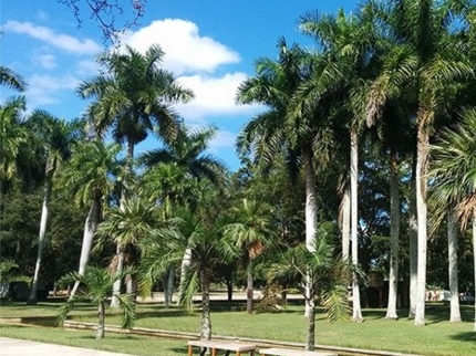 National Botanical Garden -Havana-Cuba