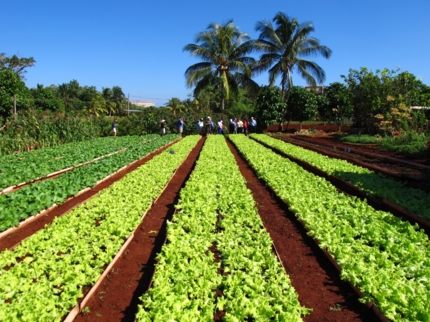 Farm Vista Hermosa