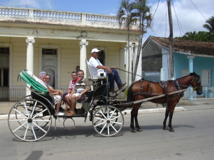 Canter by horse and cart through the streets of Morón