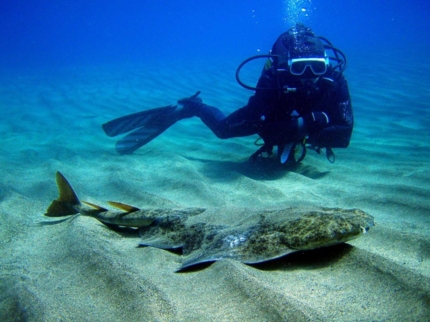 Scuba diving tour in Cayo Santa María