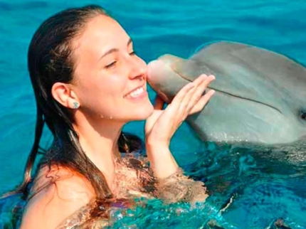 Dolphin Experience in Varadero