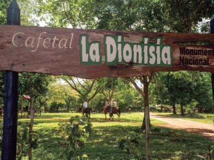 Ruins of the coffee plantation La Dionisia