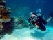 Scuba Diving in Havana
